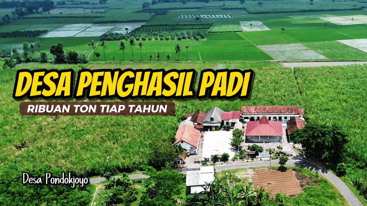 NGGAK NYANGKA...❗SELAIN PADI, DESA INI TERNYATA PUNYA POTENSI UNIK❗