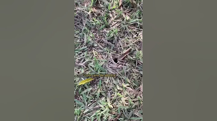 PESCADOR DE ARANHA PT2 🕷 #shorts #shortsvideo #aranha #curiosidades