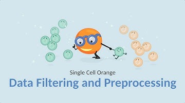Single Cell Orange 04: Data Filtering & Preprocessing