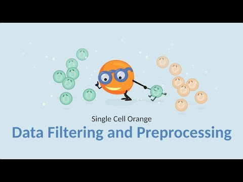 Single Cell Orange 04: Data Filtering & Preprocessing