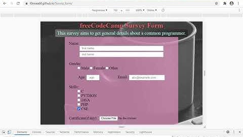 freecodecamp survey form