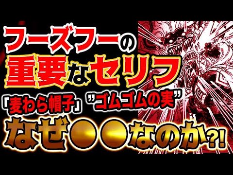 ワンピース ミイとのぞみの大図鑑