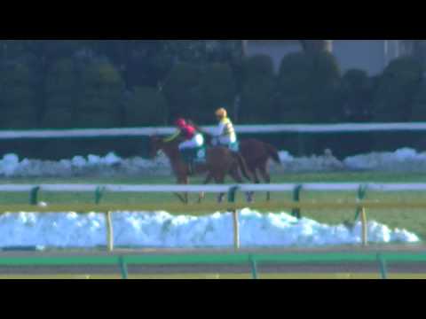 2014 02/18 第49回 デイリー杯クイーンカップ(ＧＩＩＩ) ウィニングラン　現地映像　フォーエバーモア