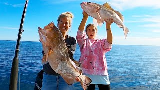 HOW To LIMIT OUT On GIANT RED GROUPER on the West Coast of Florida
