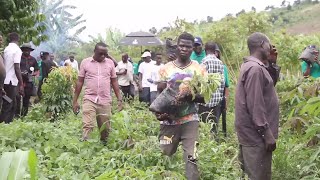 Restoration of Mabira forest cover- NFA partners with ERA to cover 15 acres