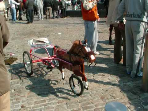  Smithfield Horse Fair  2007 YouTube