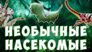 Самые Необычные Насекомые | Развивающий Мультфильм Для Детей | Карточки Домана