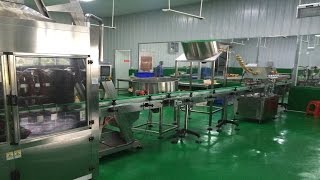 automatic 8 heads linear piston filling caps lift feeding capping labeling máquina de llenado lineal