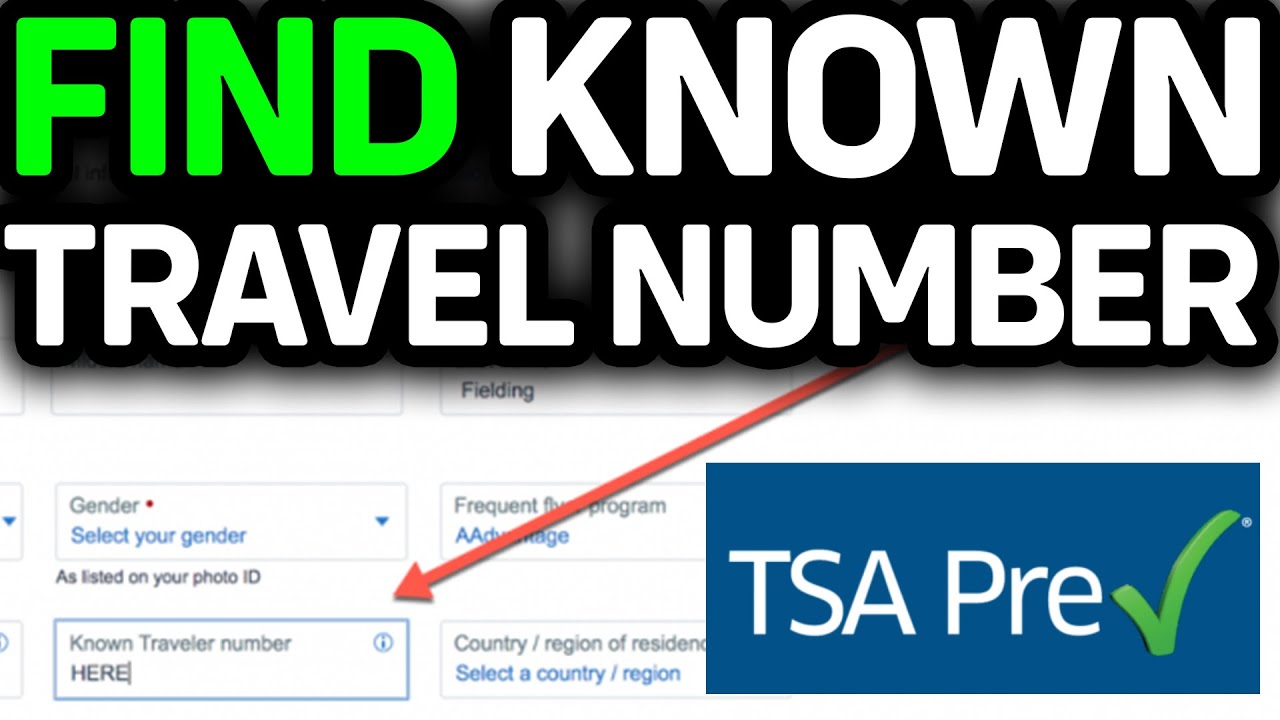 How To Find Known Travel Number For TSA Precheck 2026 | How To