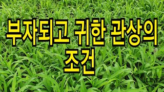 부자되고 귀한 관상의 조건
