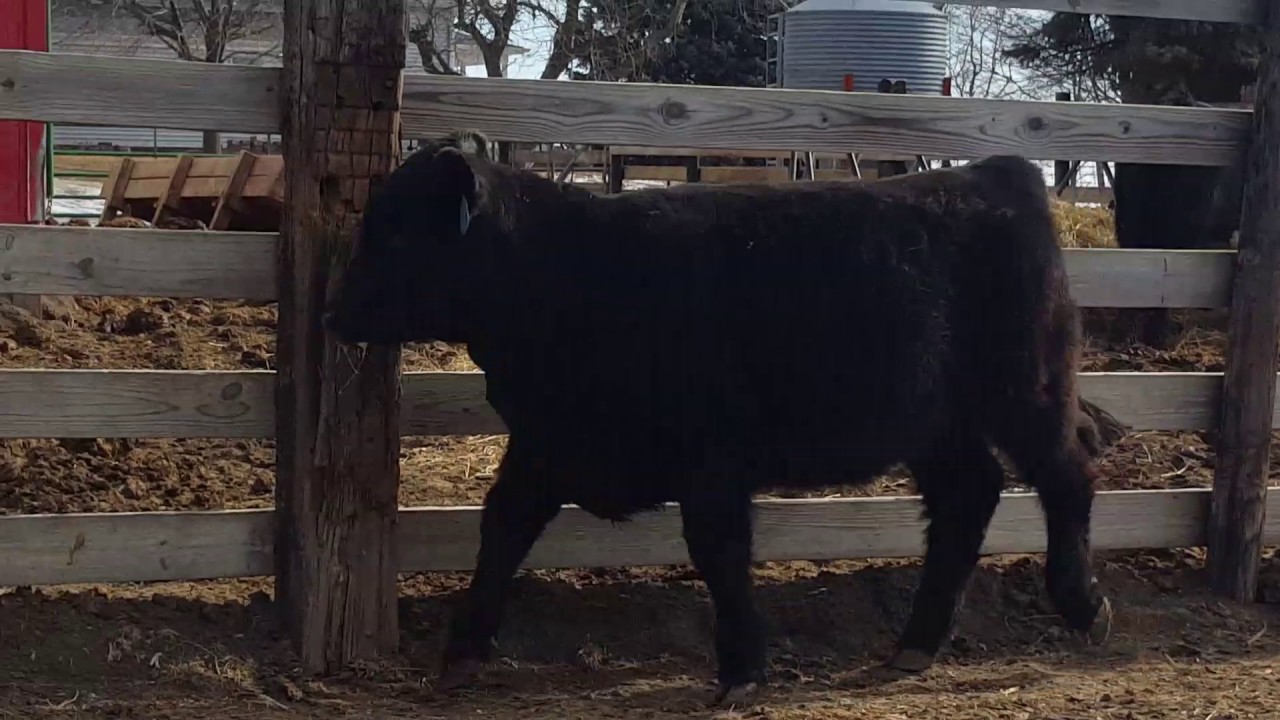 Moderate for Profit Sale Mitchell, SD YouTube