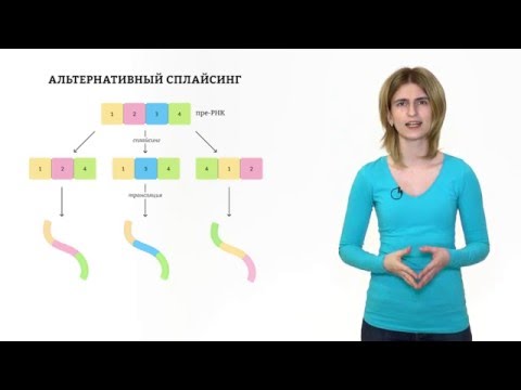 3. Строение гена. Решение генетических задач 9 - 11 класс