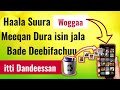 Haala Suura Fi Video Woggaa Meeqan Dura Isin Jala Bade Deebifachuitti Dandeesan Photo Recovery 2022 Haala Suura Fi Video Woggaa Meeqan Dura Isin Jala Bade Deebifachuitti Dandeesan Photo Recovery 2022