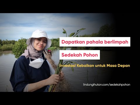 Sedekah Pohon: Investasi Kebaikan untuk Masa Depan