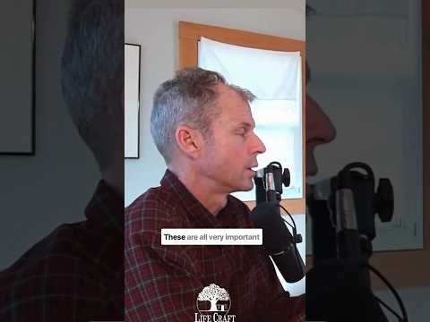 Art is a Habit #podcastclips