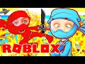 WE BECAME ASSASSINS & Sabre Finally Wins.... Roblox Gaming w/ The Norris Nuts