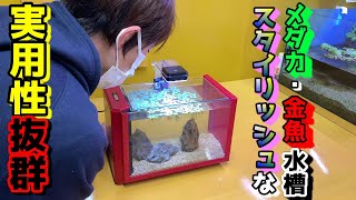 メダカや金魚 小型の熱帯魚にもおすすめの小型水槽 コトブキviewsビュース Youtube