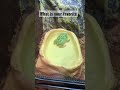 Your favorite frog 🐸 #animals #video #music #youtube #shorts #foryou #reels #reptiles #fyp #food