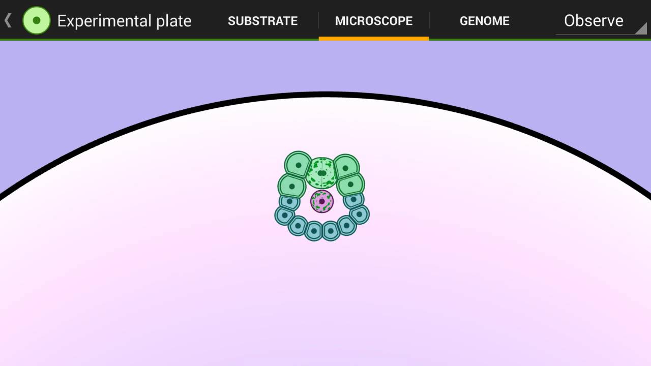 cell lab evolution sandbox pc cell lab evolution sandbox pc