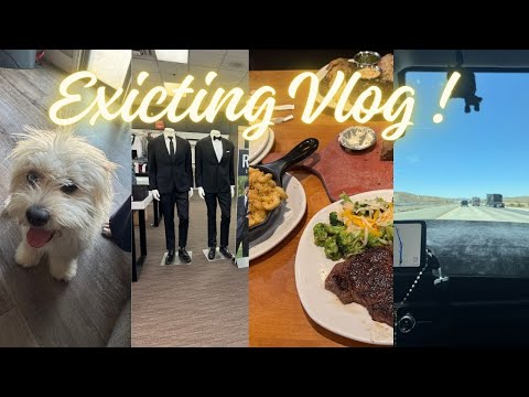 EXCITING VLOG !!! new dog | tux shopping | cali trip | baby shower
