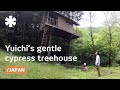 Yuichi's slim treehouse sways as a nest in Japanese cypress