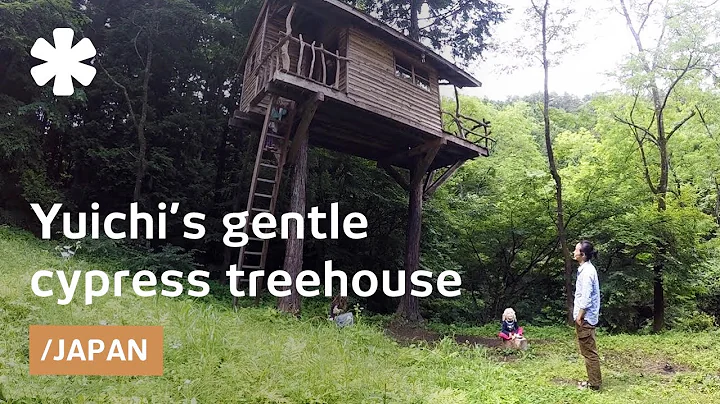 Yuichi's slim treehouse sways as a nest in Japanese cypress