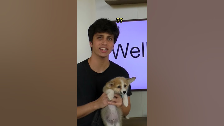 Dando o Cachorro dos sonhos da minha namorada.
