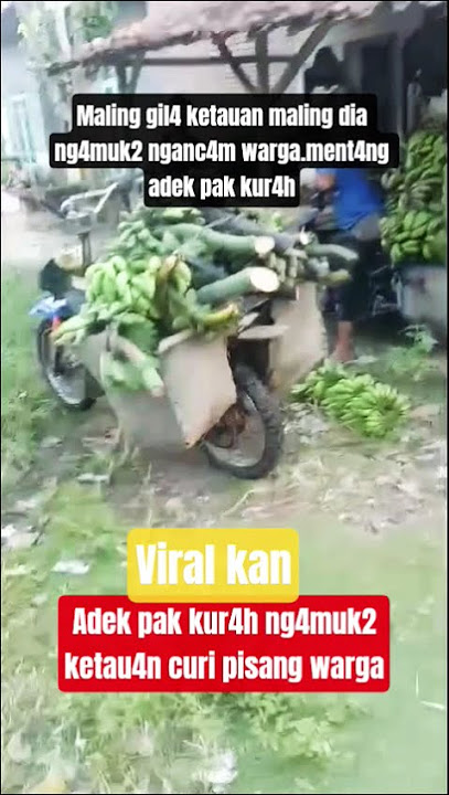 #adek pak lur4h ketauan m4ling pisang ng4muk2 dan meng4c4m warga
