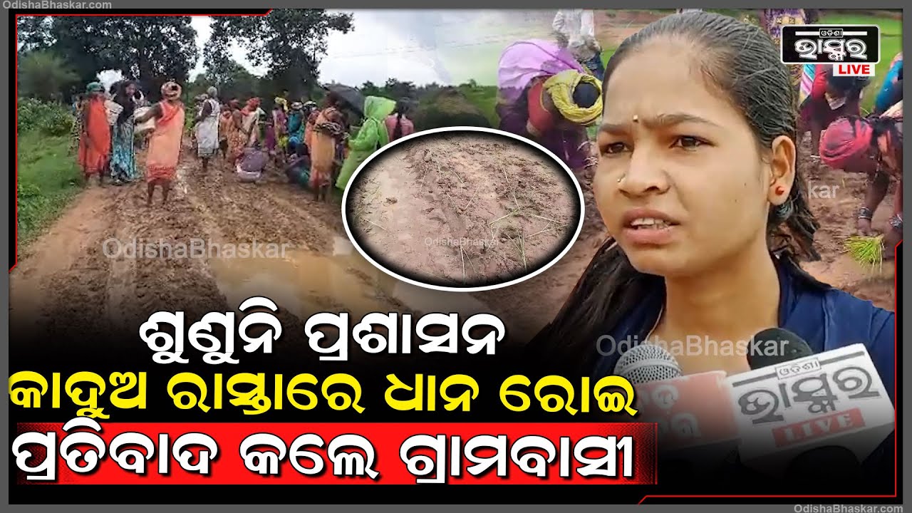 ଅଭିଯୋଗ ପରେ ବି ଶୁଣିଲାନି ପ୍ରଶାସନ, କାଦୁଅ ରାସ୍ତାରେ ଧାନ ରୋଇ ପ୍ରତିବାଦ କଲେ ଗ୍ରାମବାସୀ