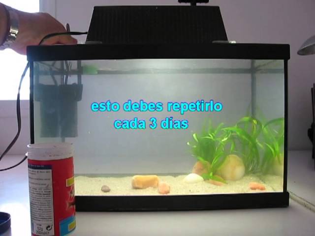 Acuario. Guía rápida para empezar desde cero 2-7 