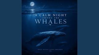Soft Tides at Midnight | Calming Ocean Waves for Sleep screenshot 2