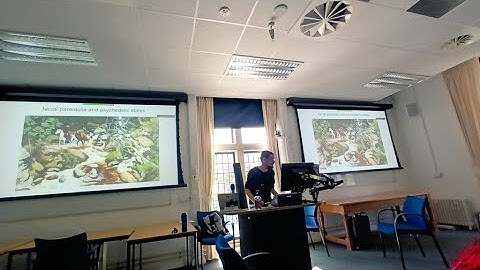 Dr Matthew Watkins – Faces in things? Psychedelic visuals, Pareidolia, and AI