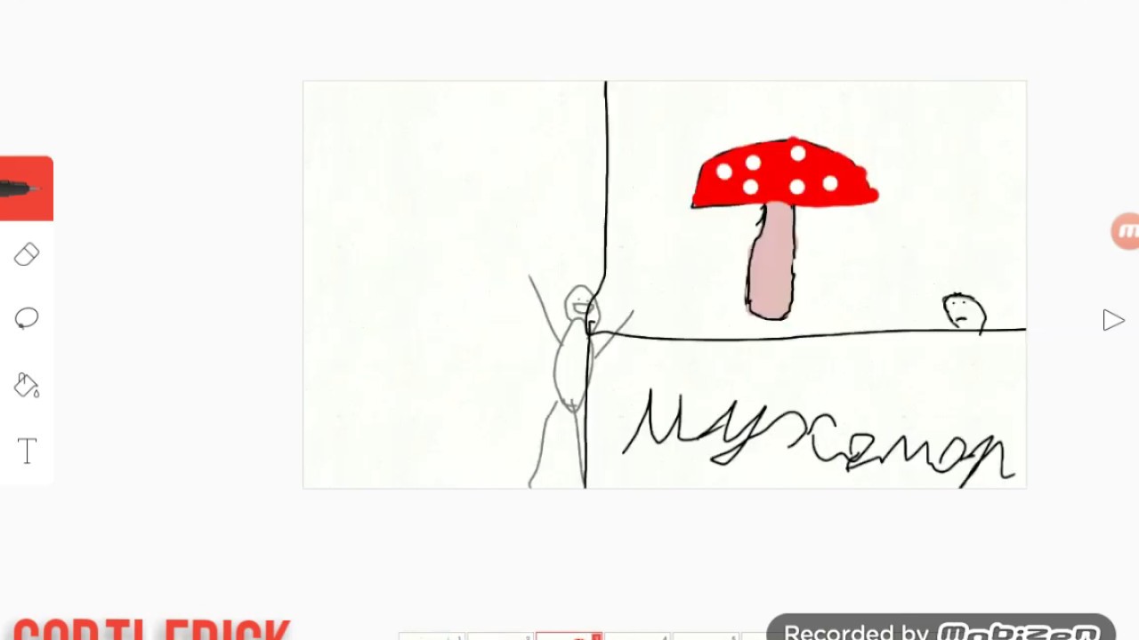 Схема слова мухомор