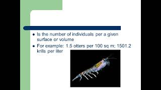 4 Population dynamics