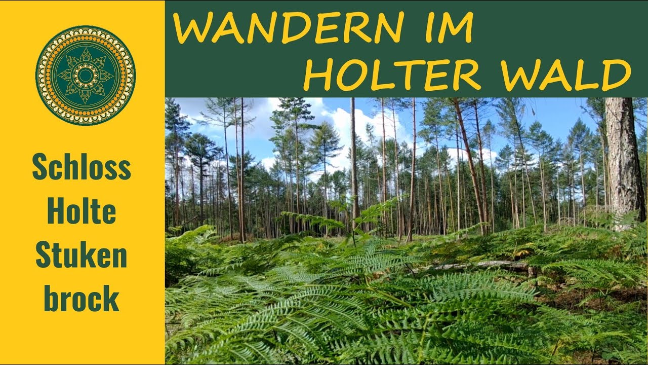 Wandern im Holter Wald bei Schloß Holte-Stukenbrock