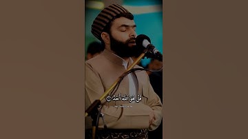 بيشةوا قادر الكردي سورة الاخلاص #پێشەوا_قادر_الکردی #سورة_الإخلاص #قرآن_كريم #القرآن #islam #quran