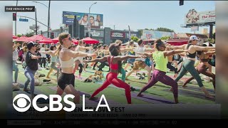 A Preview Of Venice Love Fest