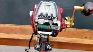 Daiwa seaborg 500mj vs Seaborg 500js.