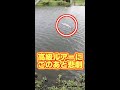 高級ルアーを霞ヶ浦に沈めたら悲劇がおきた。 #shorts