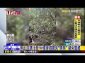 樹林裡黑球在移動 工程人員驚呼是「黑熊」@newsebc