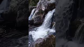 Rio Arões - Vale de Cambra