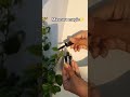 just a swipe and whole vibe changes ✨️👀  #viral #mascara #trendingshorts #makeupaddict #funny