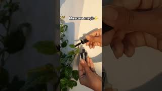 just a swipe and whole vibe changes ✨️👀  #viral #mascara #trendingshorts #makeupaddict #funny