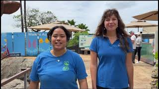 Support Waikiki Aquarium on Giving Day April 8, 2026