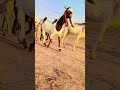 #villagelife #gaonbkanazara786
