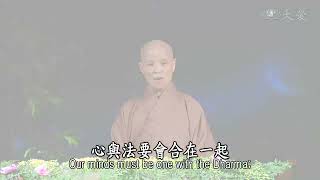 【靜思妙蓮華】譬喻品 20201217 第599集 滅盡惑業 修道離苦5'03