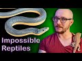 Top 5 IMPOSSIBLE TO KEEP Reptiles