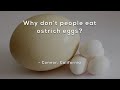 Why dont people eat ostrich eggs