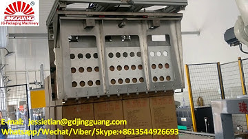 ABB robot palletizer/ robotic carton palletizer /robotic case palletizer China