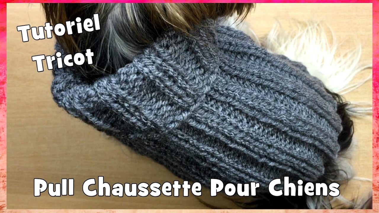 modele pull tricot petit chien